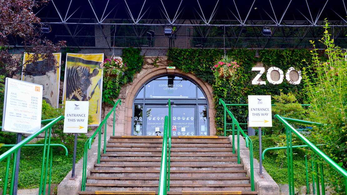 Edinburgh Zoo. Foto:  Edinburghcitymom