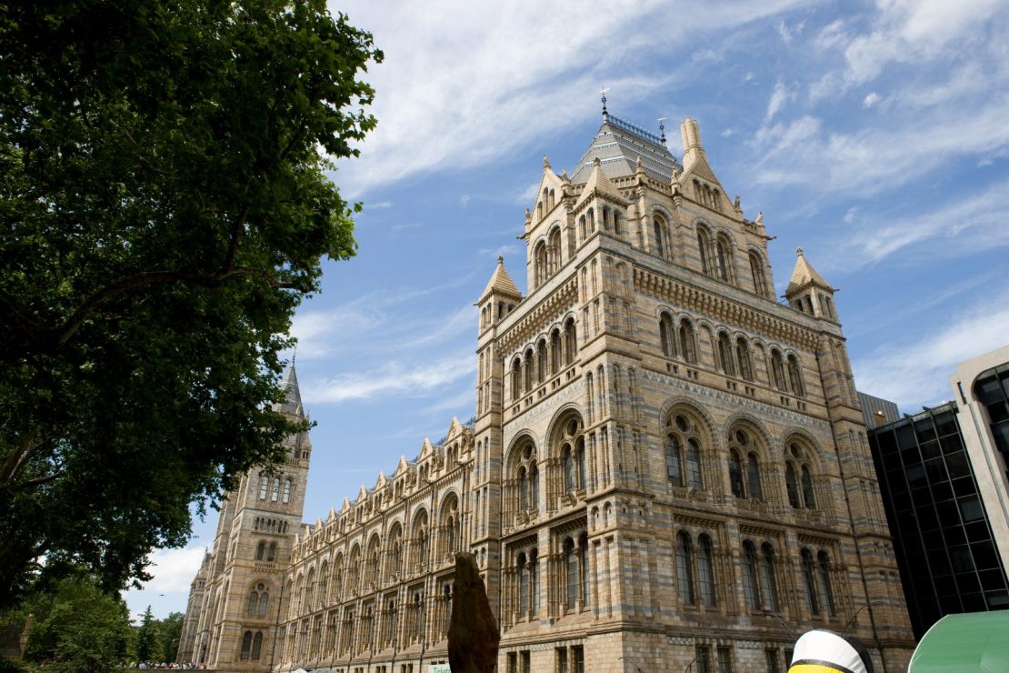 Naturhistorisk museum i London.
